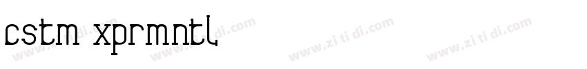 CSTM XPRMNTL 01 3008字体转换
